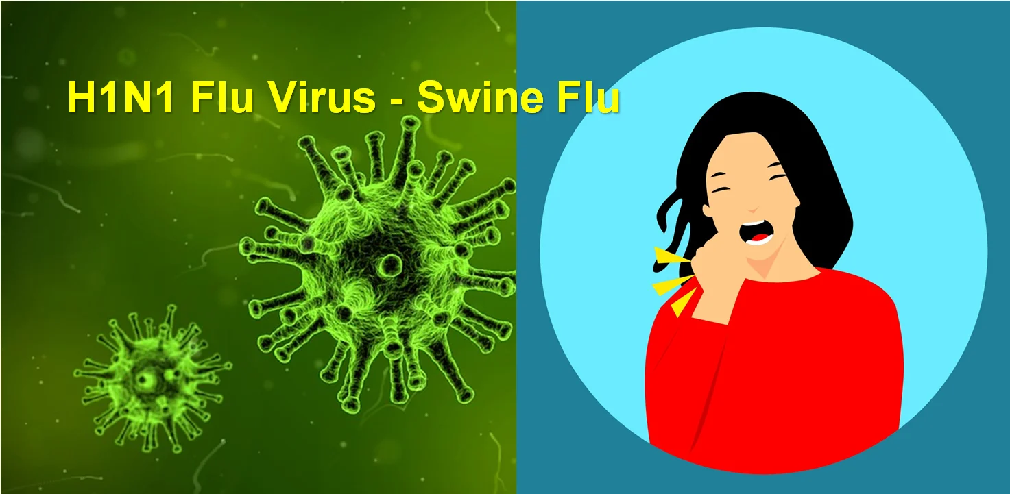 h1n1-flu-virus-swine-flu-pexel-pxhere-images-free-jan-2019